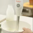 همزن گوشت کوب چهار کاره مولینکس