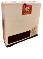 بخاری گازی ژاپنی 4000