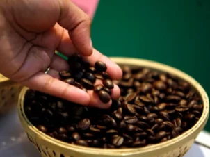 بهترین نوع قهوه the best kind of coffee