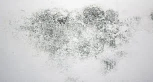 عوامل مخرب رطوبت