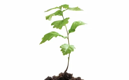 حالت اکو اتو مخزن دار هوشمند بوش TDS4571GB 