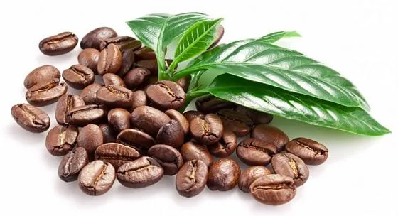 بهترین نوعع قهوه