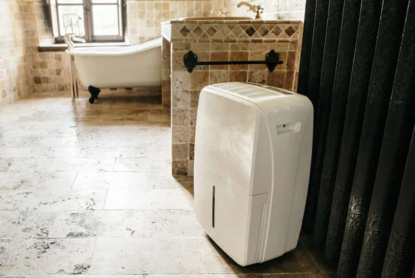Dehumidifier