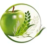 آبمیوه گیری زلمر  ZJP1300B و قابلیت رانی سازی